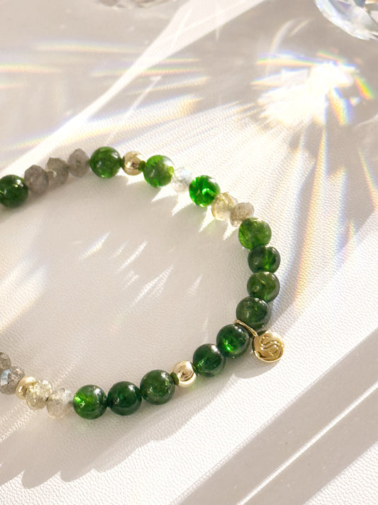 Diopside and Labradorite