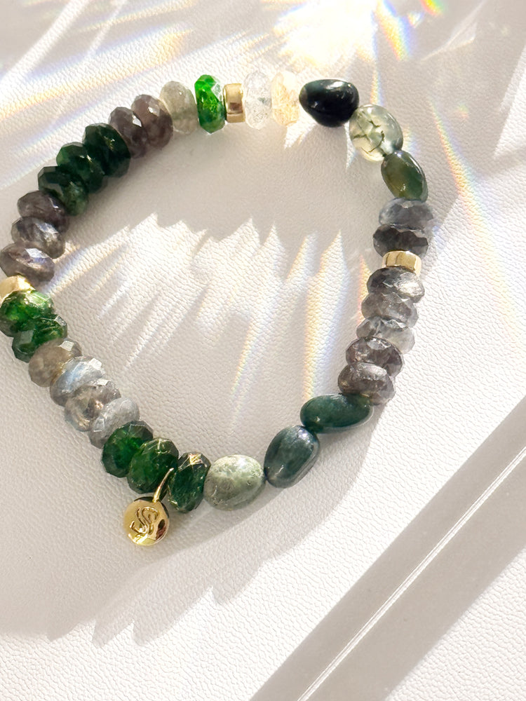 Diopside, Labradorite et Pierre de Sang