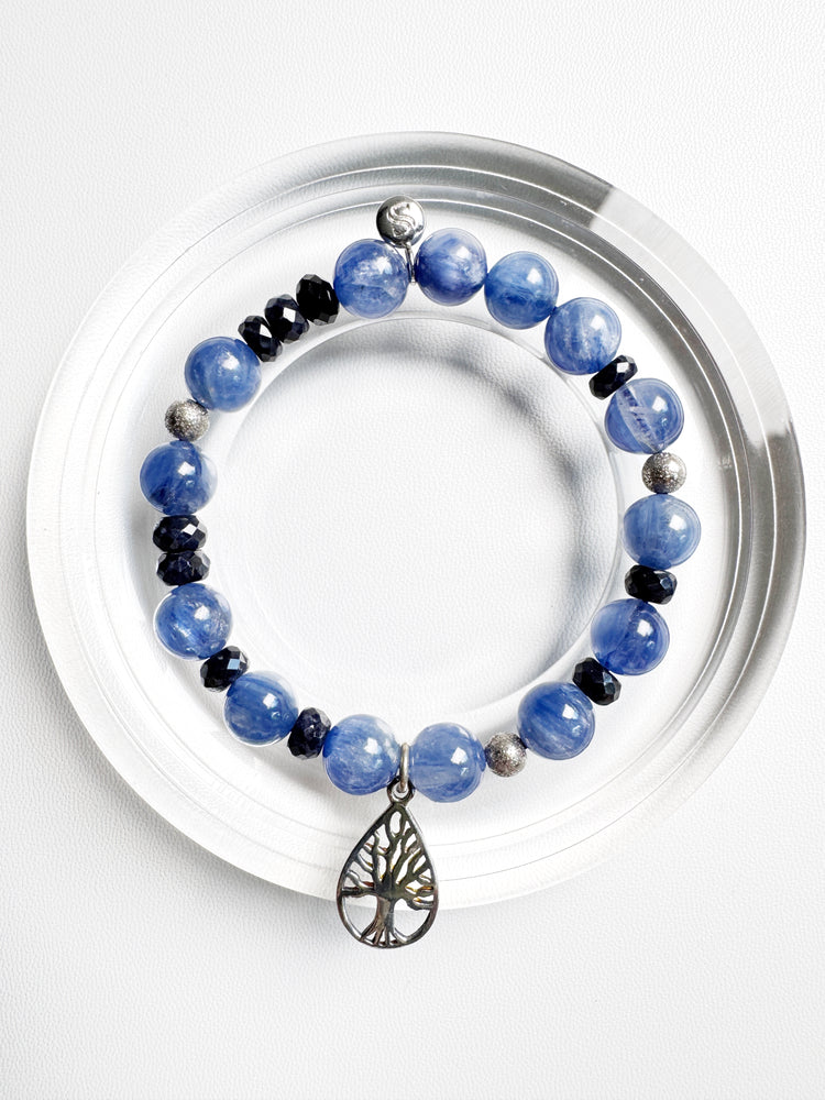 Kyanite and Sapphire
