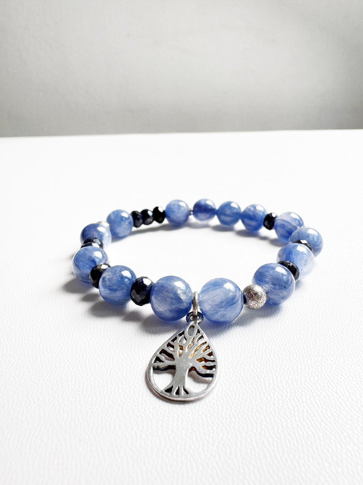 Kyanite and Sapphire