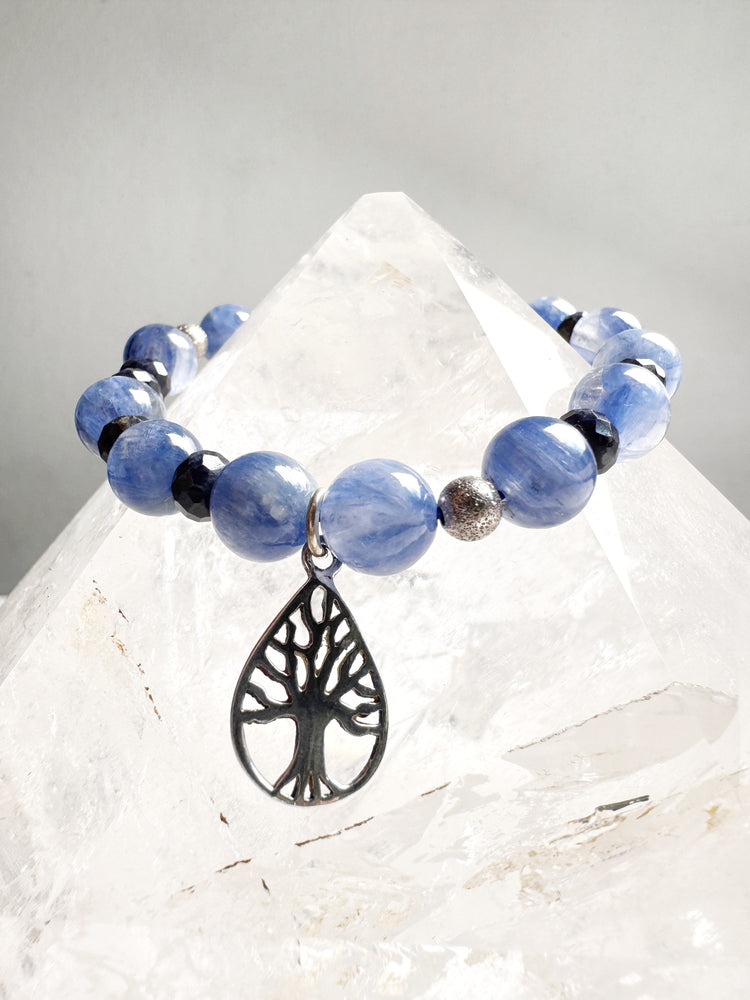 Kyanite and Sapphire