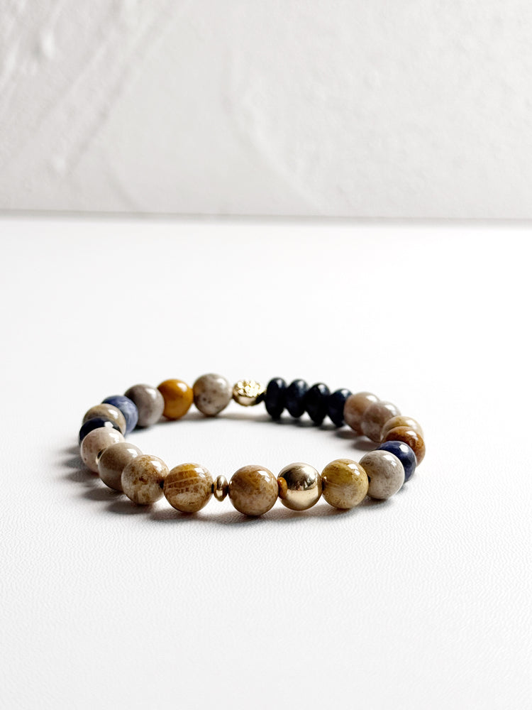 Picture Jasper and Dumortierite
