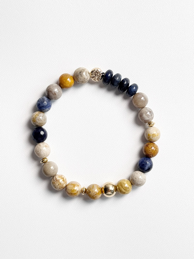 Picture Jasper and Dumortierite